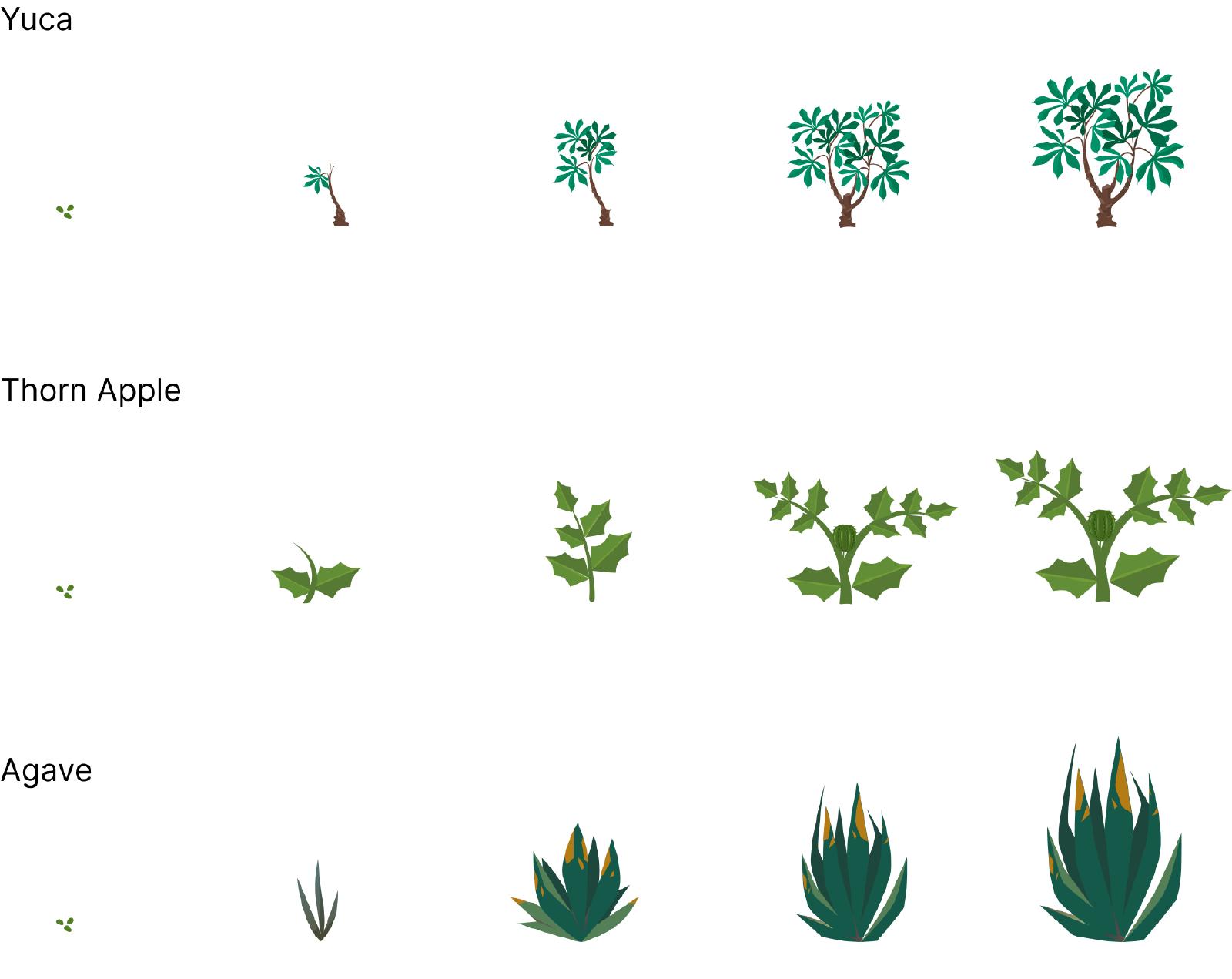 UNIVA Health: Biomas para un jardín digital de recuperación